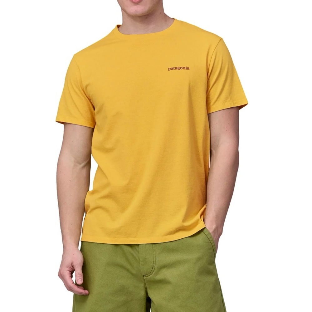 Patagonia Fitz Roy Responsibili-Tee